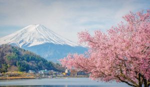 日本个人旅游签证